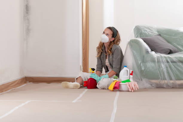Reliable Mold Removal contractor in Saint Paul, MN by WQB Mold Removal